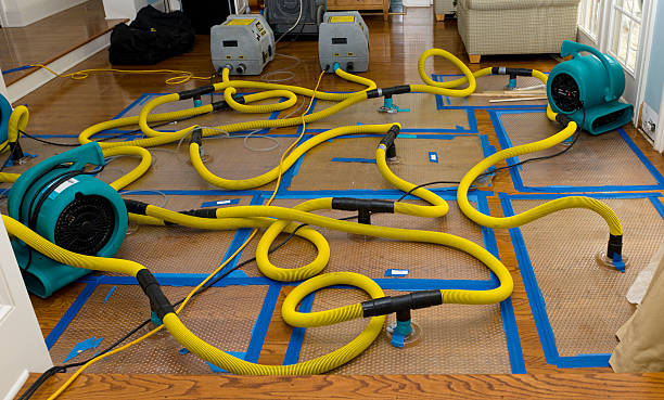 Professional Crawl Space Water Removal technician working in Gettysburg, OH